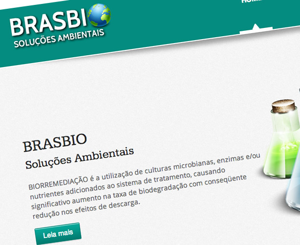 www.brasbioambiental.com.br